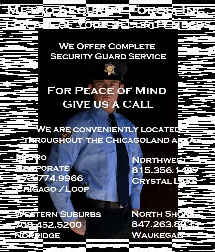 Metro Security Force, Security Guard Companies, Security - Security Guard (435x509), Png Download