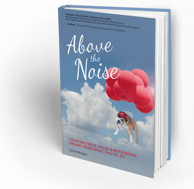 Above The Noise - Above The Noise: Creating Trust, Value & Reputation (786x767), Png Download