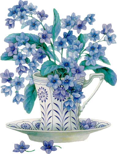 Blue Flowers In Tea Cup - Mensagens De Boa Tarde Com Otimismo (382x504), Png Download