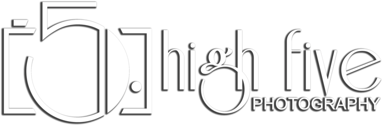 High Five Logo 2 Whitedrop - Calligraphy (800x618), Png Download