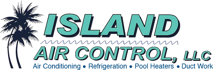 At Sun103 - Digiflare Graphics 6 Ft X 49" Wide Palm Trees Wall (789x260), Png Download