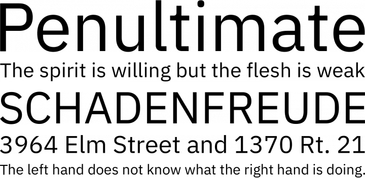Ibm Plex Font Phrases - Roboto Font (720x352), Png Download