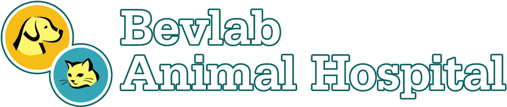 Bevlab Animal Hospital (1024x233), Png Download