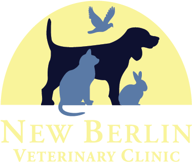 Logo - Pet Clinic Logo (500x336), Png Download