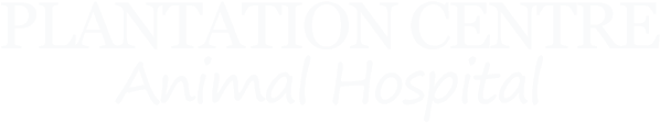 Logo For Veterinarians In Macon, Ga - Golden Apple Award (650x200), Png Download