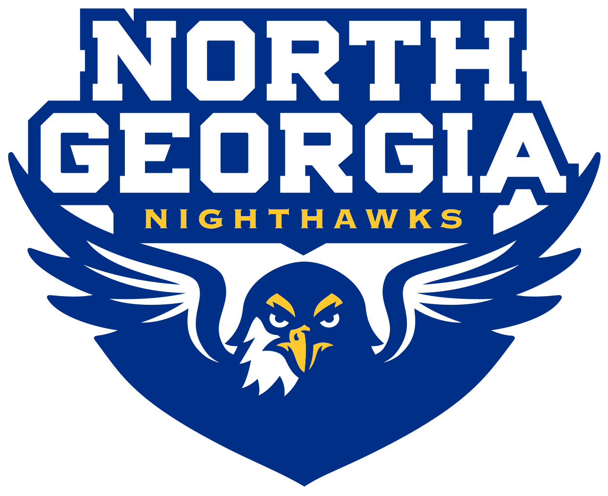 Ryan Gray - University Of North Georgia Nighthawks (1259x1024), Png Download