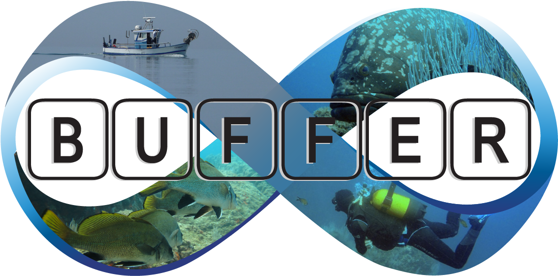 Logo Buffer 300dpi - World Wide Web (1200x856), Png Download