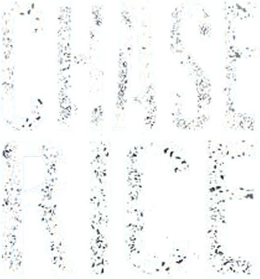 Chase Rice - Chase Rice / Ready Set Roll (ep) (600x592), Png Download