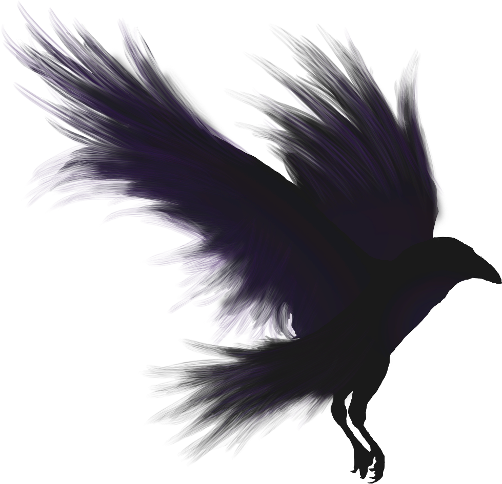 Crows Shadow Emblem - Raven Png (1024x1024), Png Download
