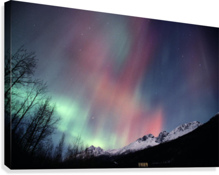 Multi Colored Northern Lights Fill The Night Sky Off - Aurora (428x342), Png Download