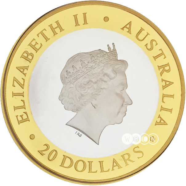 Visit - Australian Silver Kookaburra (604x604), Png Download