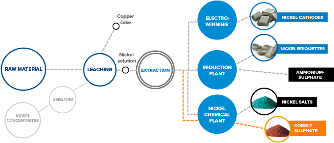 Experienced Professional In Nickel Production - Nikkelin Jalostus (730x301), Png Download