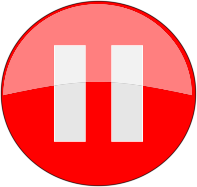 Small - Red Pause Button Png (600x574), Png Download