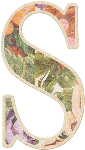 Abundatn Etc Dan A2 2 - Window Blind (289x500), Png Download