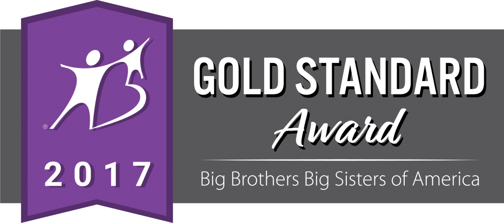 Linkedin Icon - Big Brothers Big Sisters (1000x443), Png Download