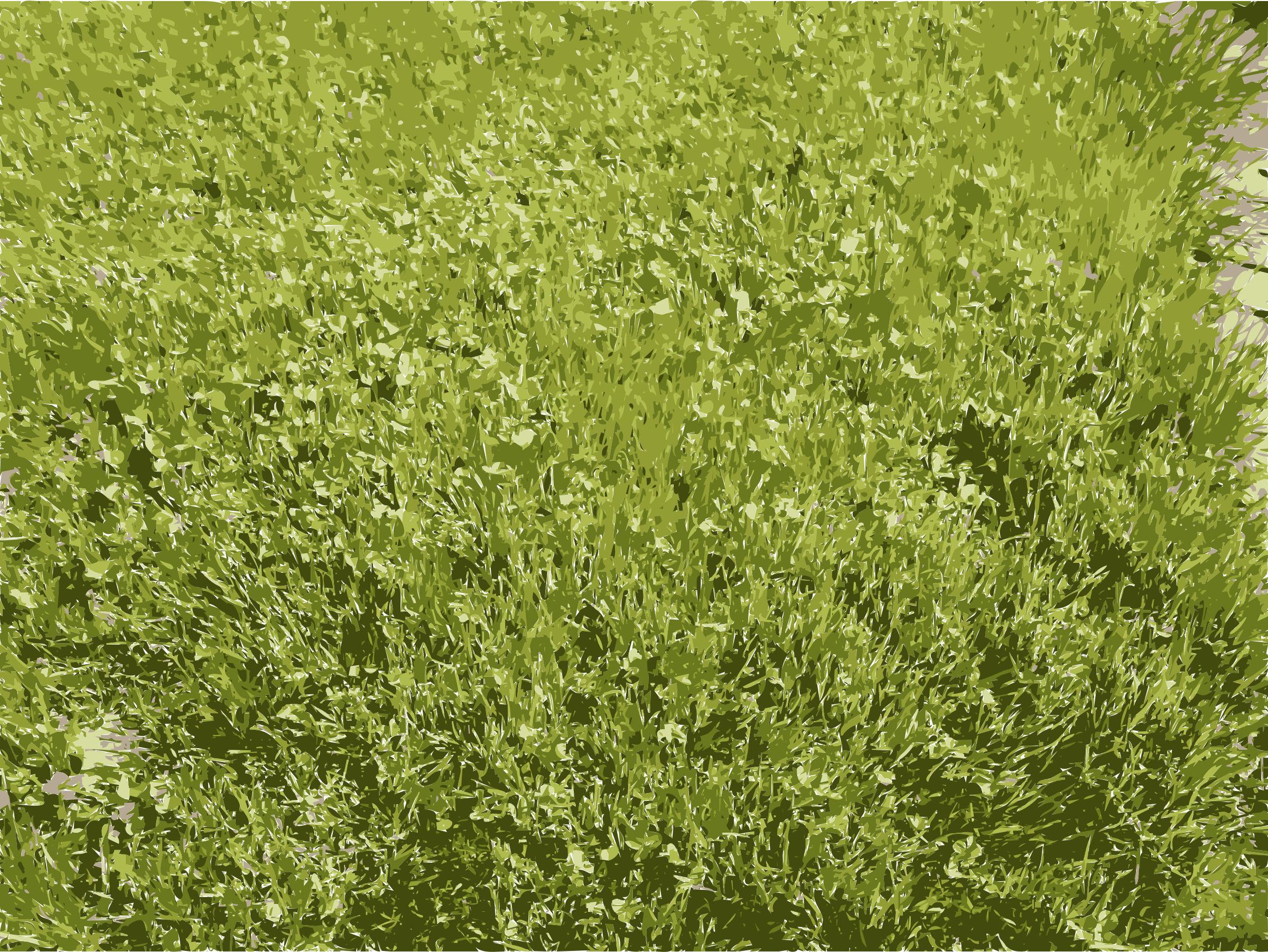 This Free Icons Png Design Of Grass Details In Missouri (2400x1803), Png Download