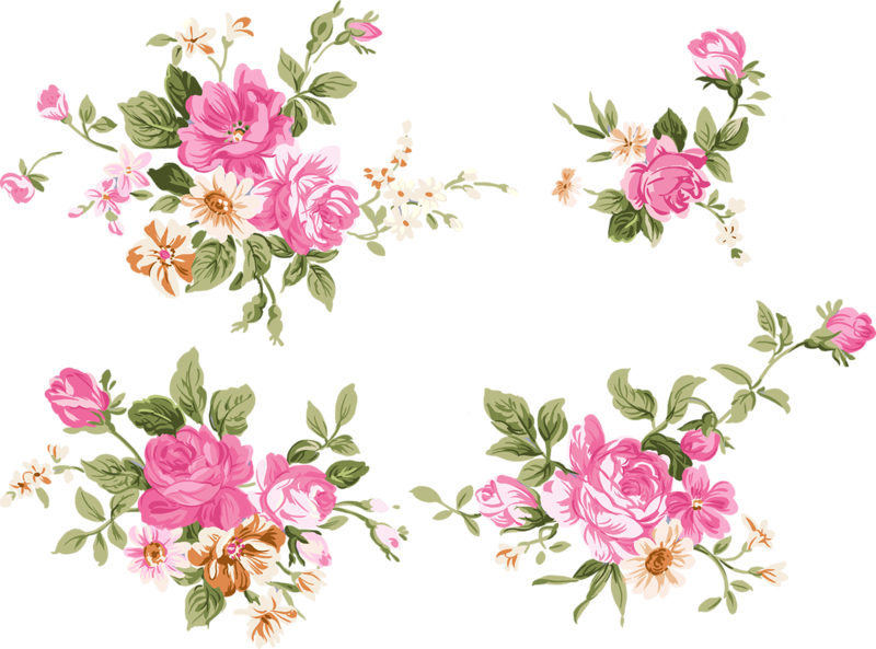 Фото, Автор Msbabalena На Яндекс - Peony Vector Free Download (800x593), Png Download