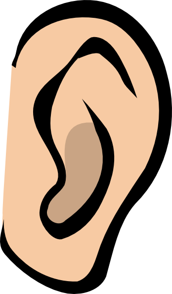 Picture Transparent Ear Clip Art At Clker Com Vector - Ear Clip Art Png (348x594), Png Download