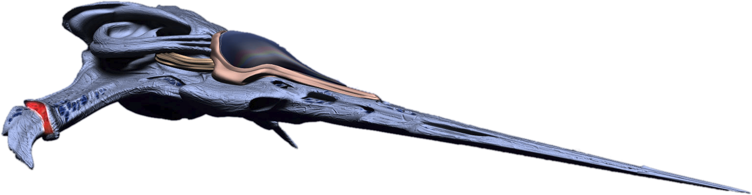 Dart - Wraith Dart (1550x403), Png Download