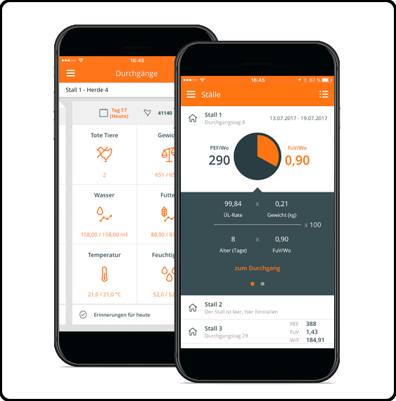 Big Dutchman - Smartphones - Portable Network Graphics (563x571), Png Download