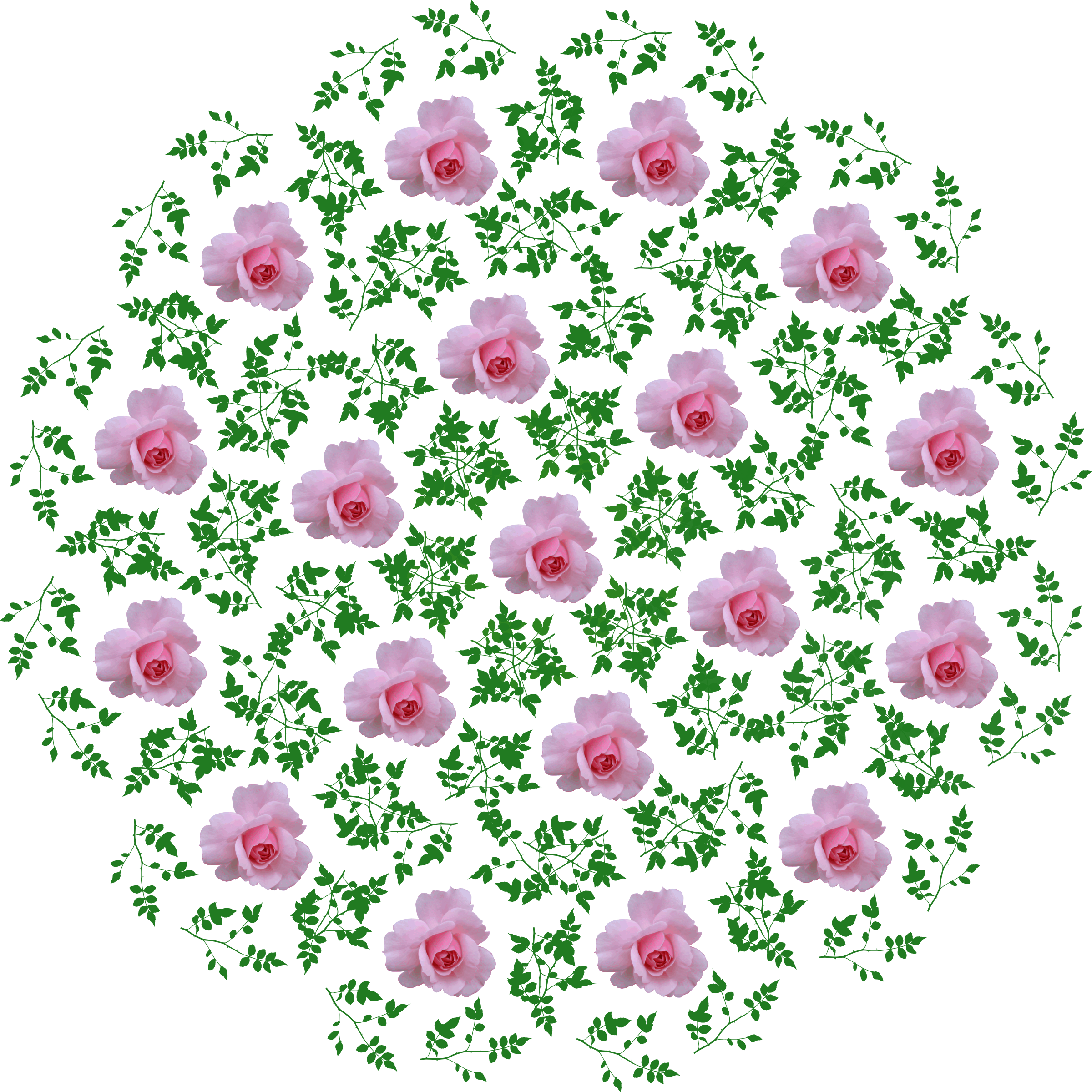 Big Image - Portable Network Graphics (2400x2400), Png Download