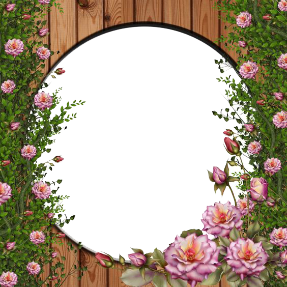 Rose Vine - Rose Flower Frames Png (564x564), Png Download