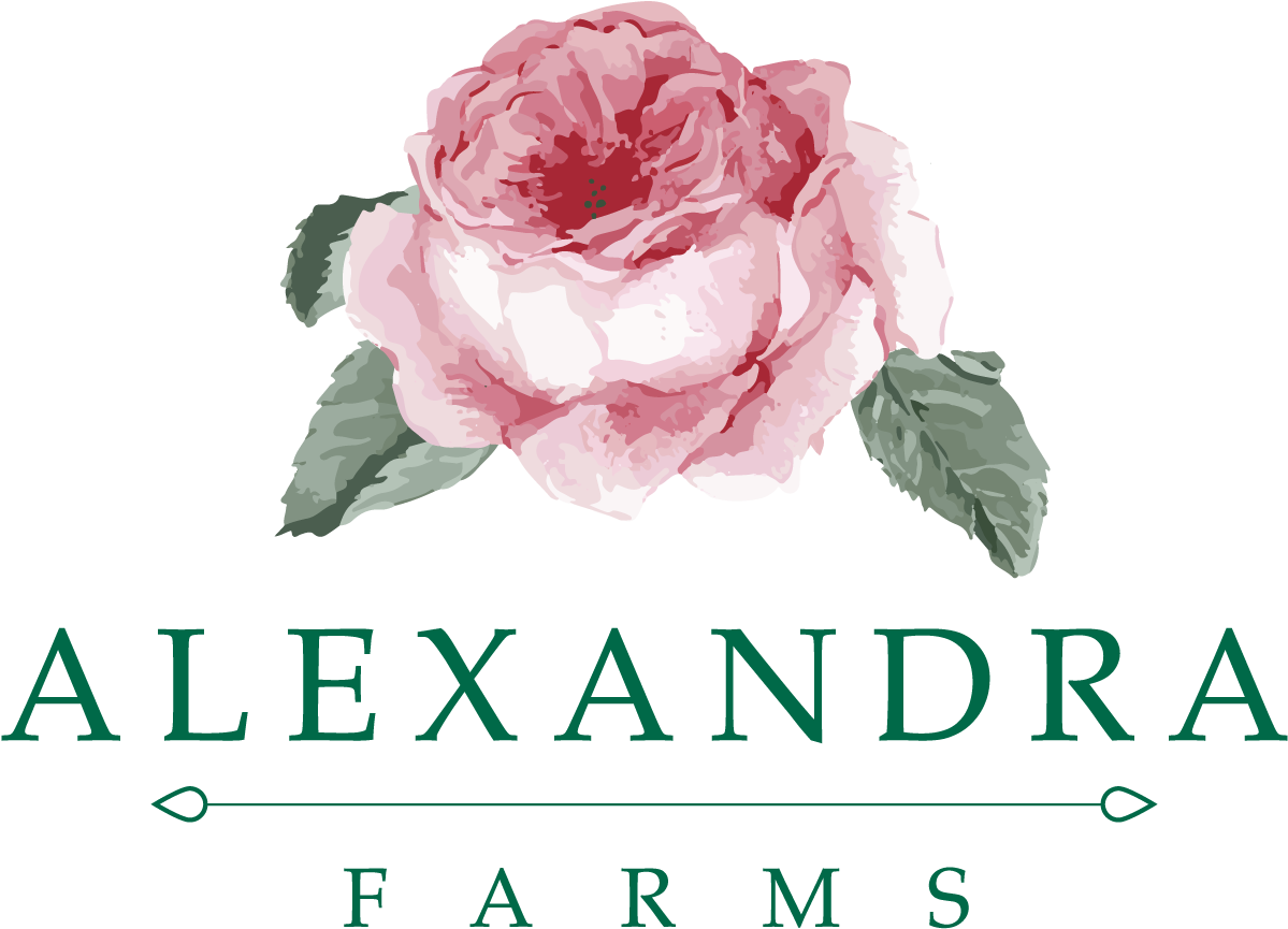 Alexandra Farms (1395x1062), Png Download