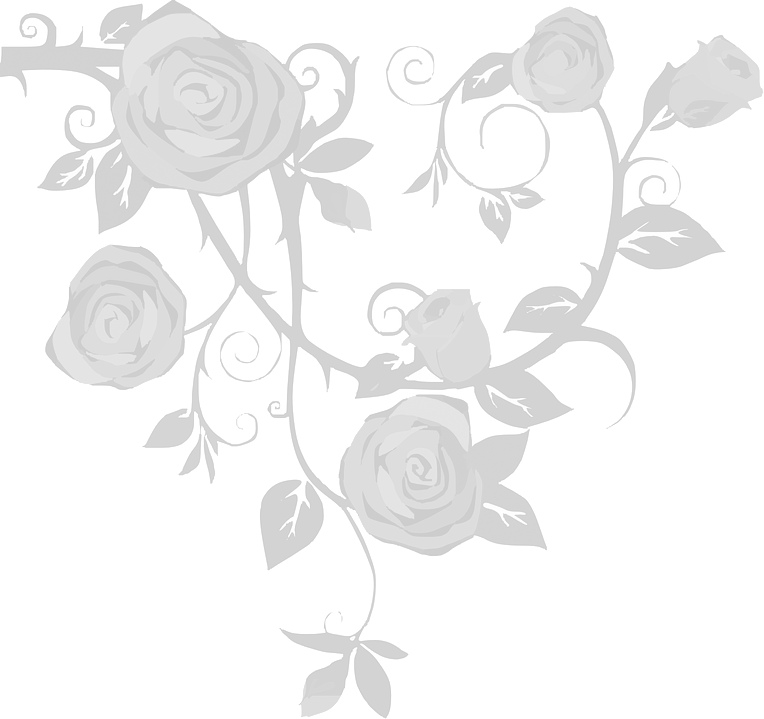 Design - Rose And Vine Drawings (764x719), Png Download