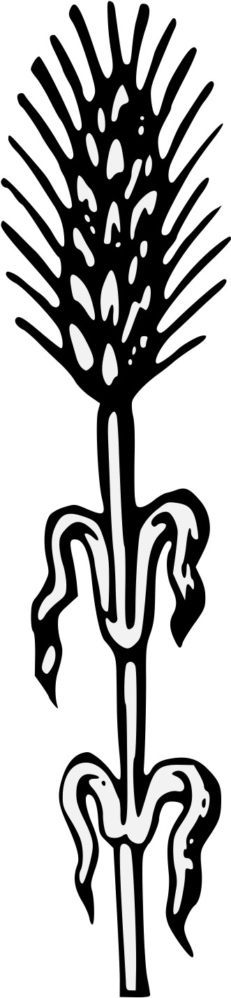 Details, Png - Silhouette (374x1443), Png Download