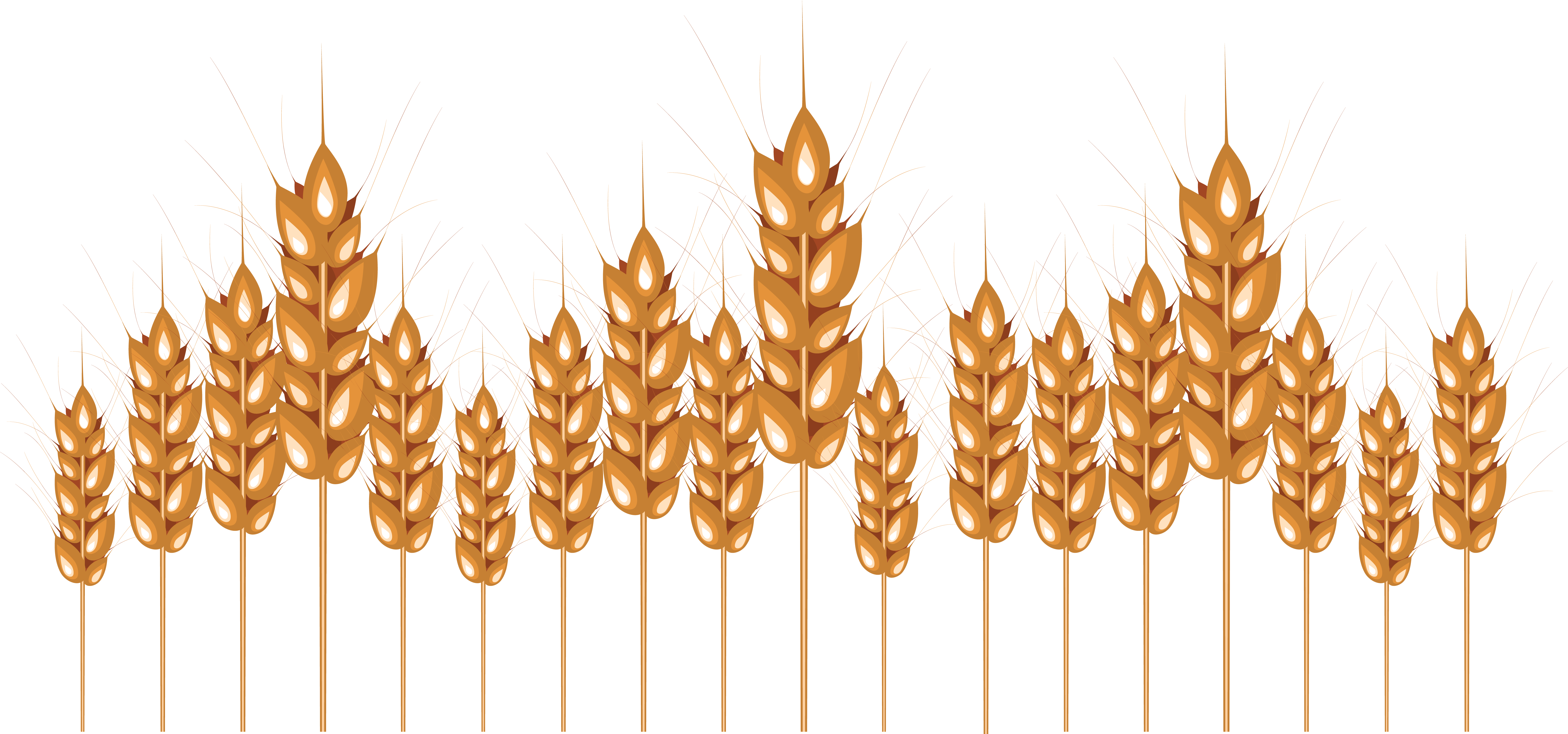 Wheat Png Image - Wheat (6804x3188), Png Download