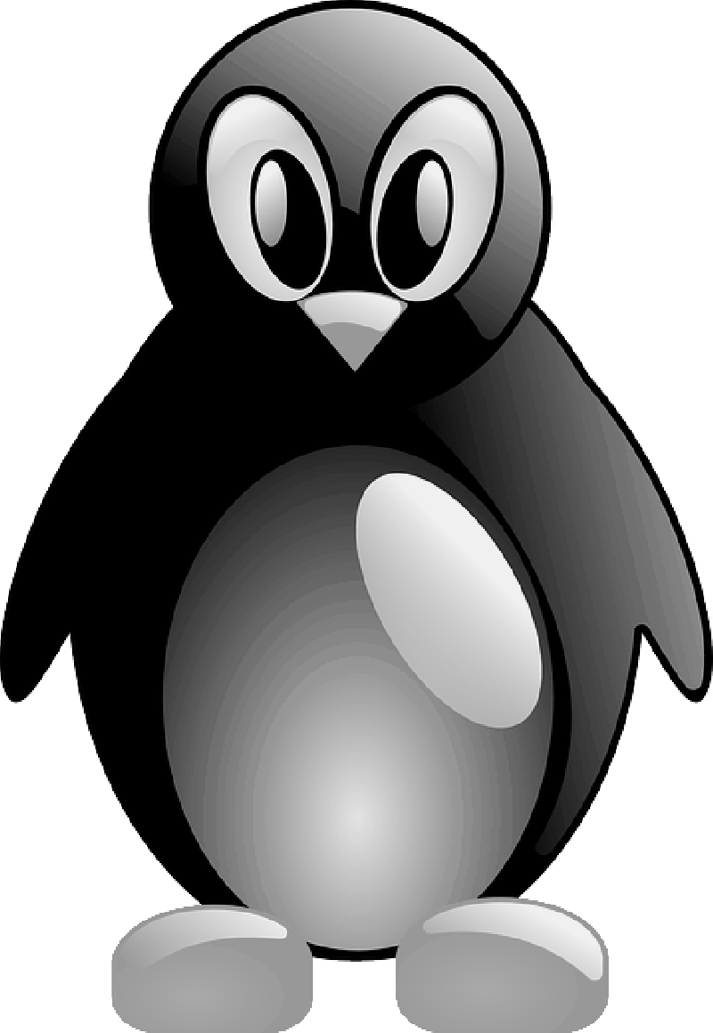 Mb Image/png - Tux (800x1160), Png Download