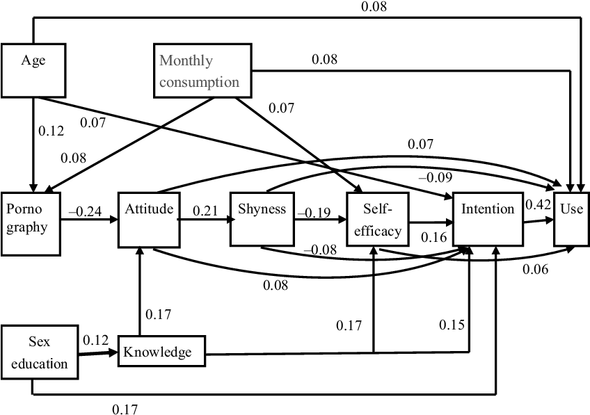 Path Analysis Of Determinants Of Condom Use Among Male - Diagram (847x604), Png Download