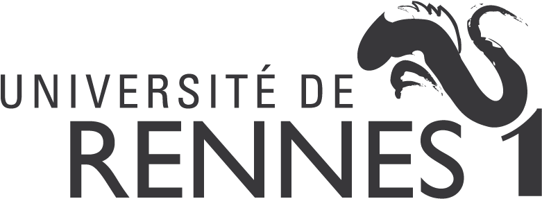 Logo Cnrs 01, Logo Rennes1 01, Logo Insa - Logo Univ Rennes 1 (1000x505), Png Download