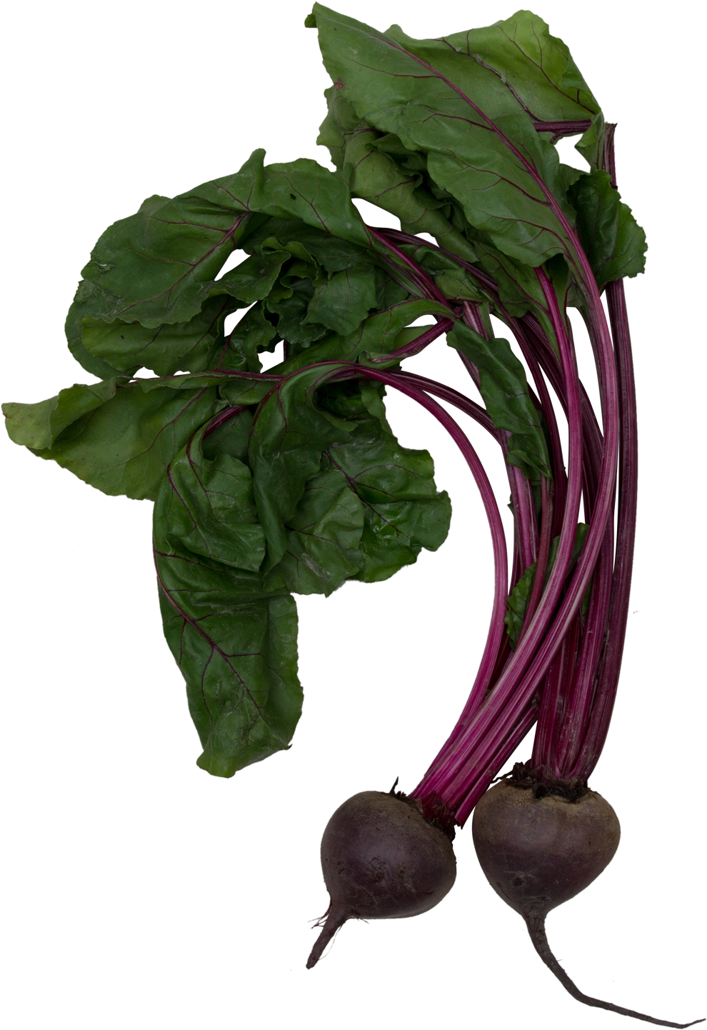 Beet - Beet Greens (990x1442), Png Download