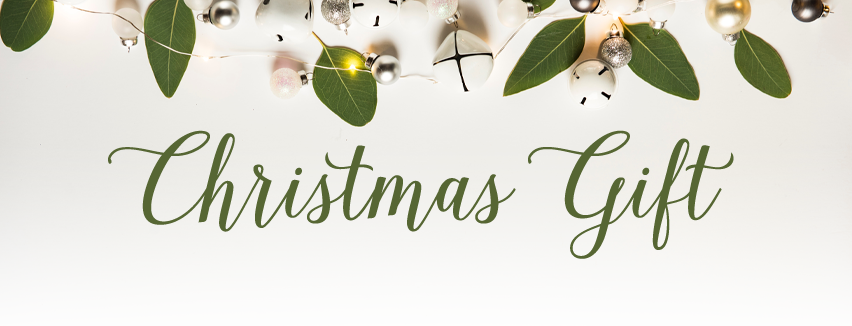 44ink Christmas Sale - White Decorative Plaques By Willow + Blush By Vinyl (852x326), Png Download