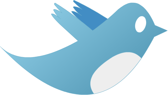 Twitter Bird Twitter Bird Button Png - First Nation Turtles (537x306), Png Download