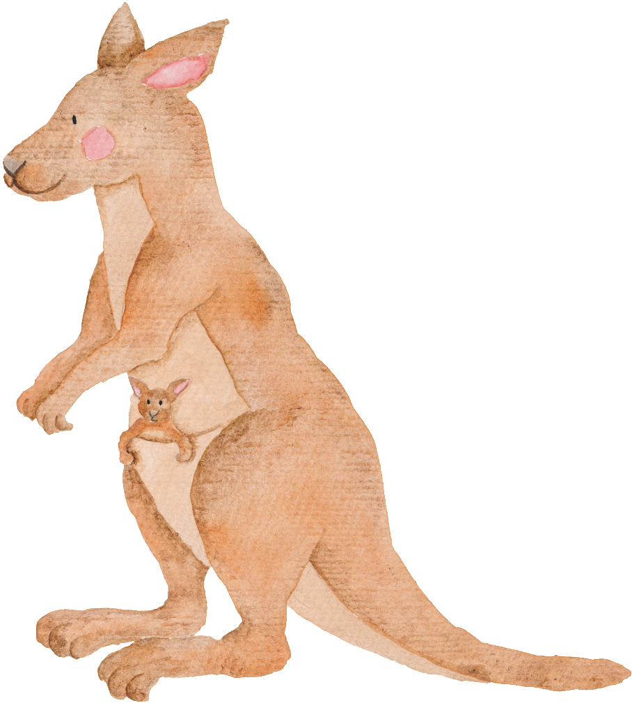 Hand Painted Kangaroo Transparent Animal Png - Watercolor Australian Animals Painting (1024x1024), Png Download
