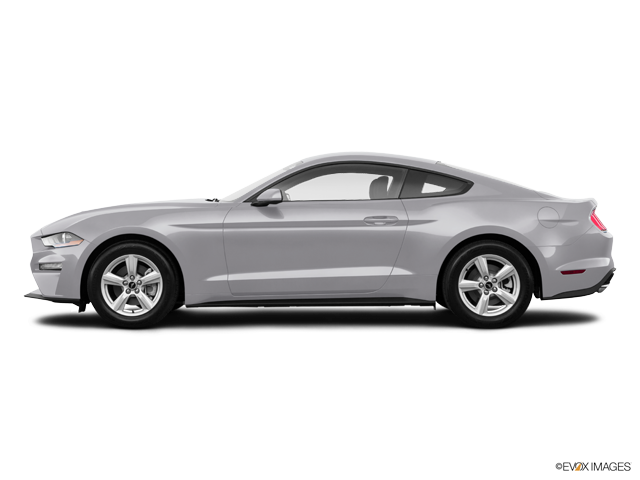 2018 Ford Mustang Ecoboost - 2019 Mustang Gt Premium Black (640x480), Png Download