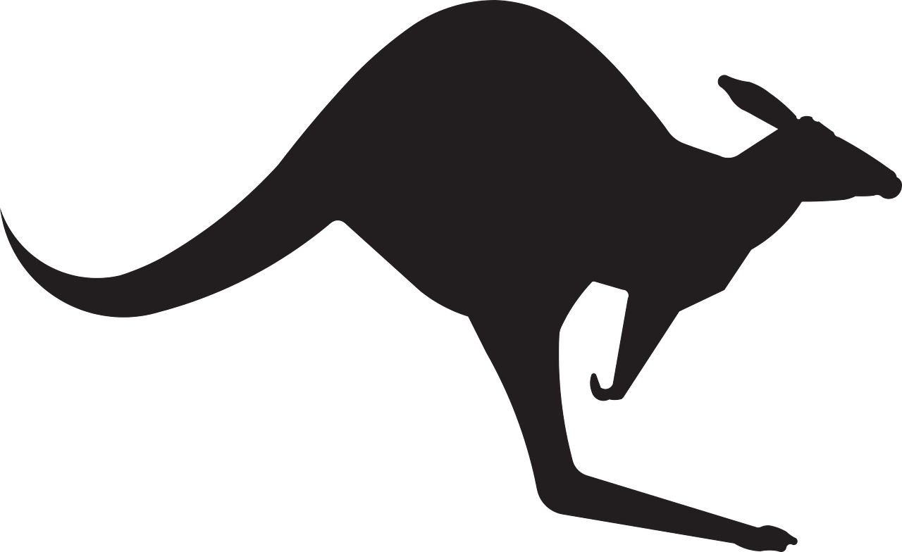 Australia, Kangaroo Animal Australia Jump Silhouette - Kangaroo Sign (1280x784), Png Download