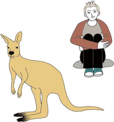 Kangaroo - Portable Network Graphics (450x450), Png Download