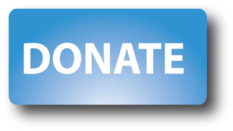Donate Button Png I14 - Donate Button Png (770x437), Png Download