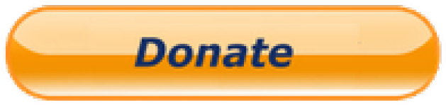 Paypal Donate Button (640x480), Png Download