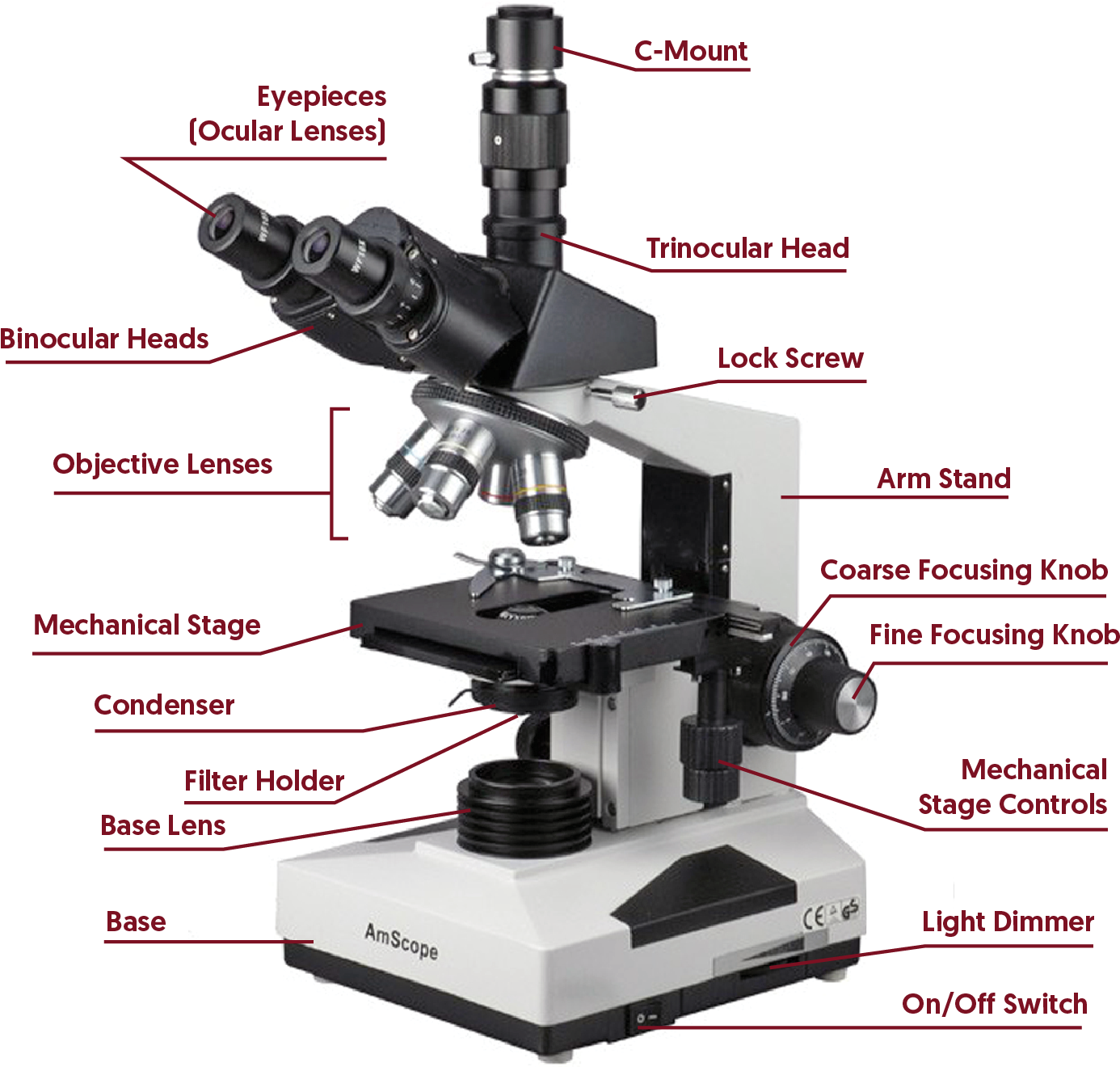 Compound Microscope - Inclination Joint In Microscope (1456x1456), Png Download