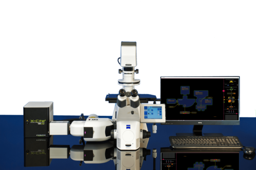Aurox Clarity, Laser-free Confocal Microscope - Confocal Microscopy (499x332), Png Download
