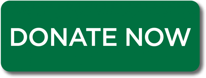 Donate Now 2-01 - Department Of Education (940x410), Png Download