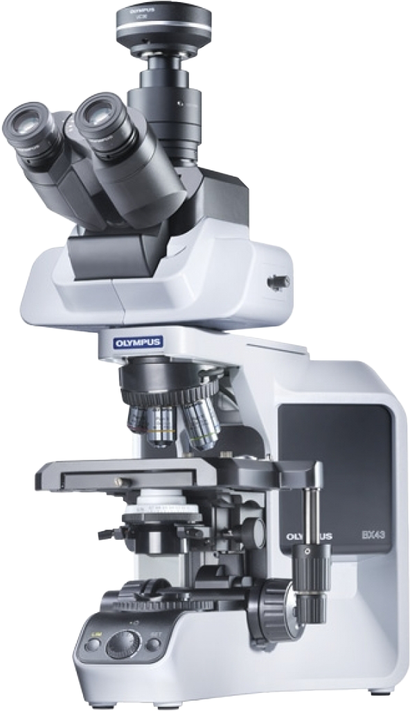 Olympus Bx43 Manual Upright Microscope - Microscope Olympus Bx 43 (900x1080), Png Download