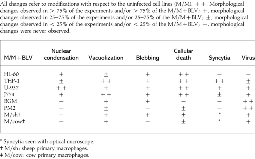 Morphological Changes In M/mjblv Seen With Electron - Peak Assignment Raman Spectra Table (850x532), Png Download