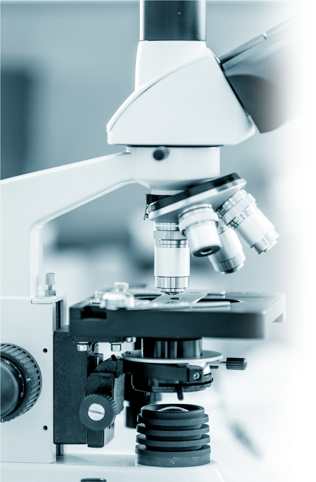 54 Pm 7636 Mosquito 12/10/2015 - Microscope (1125x1688), Png Download