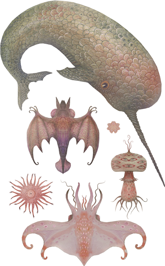 Illustrations Done For The "feast" Restaurant, Nashville, - Illustration (570x984), Png Download