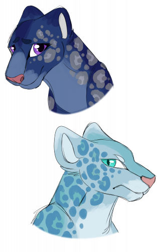 Sheena And Narwhal - Illustration (338x500), Png Download